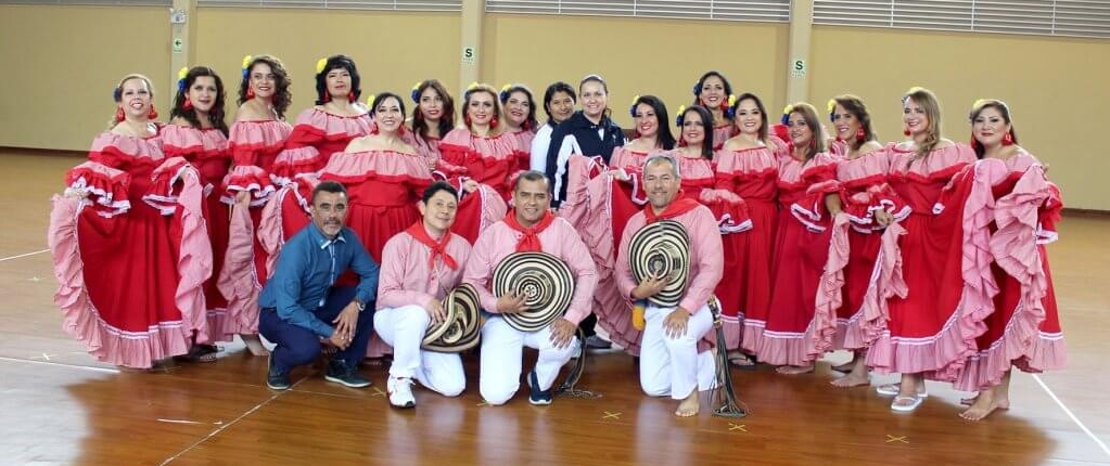comunidad apafa