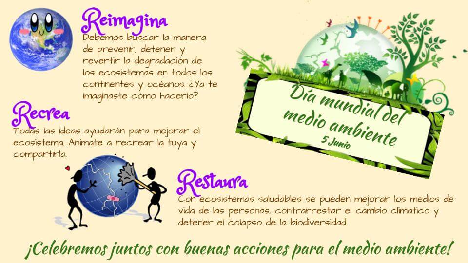 DÍA MUNDIAL DEL MEDIO AMBIENTE